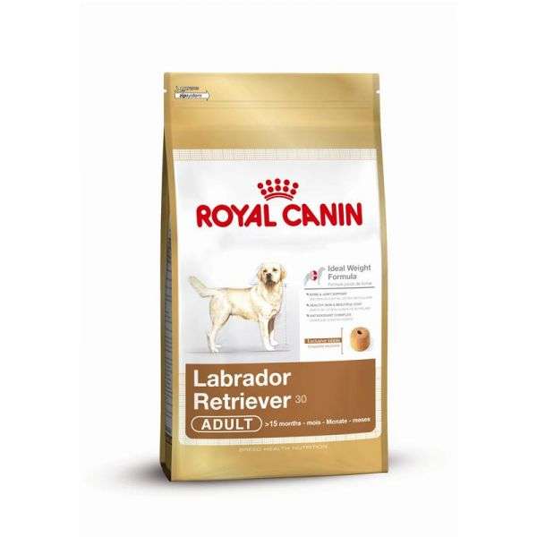 Royal Canin Labrador Odrasel