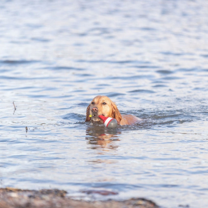 Trixie Aqua Toy Snack - Boje am Seil