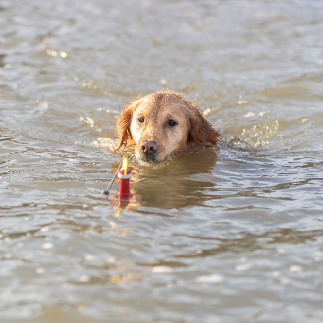 Trixie Aqua Toy Snack - Boje am Seil