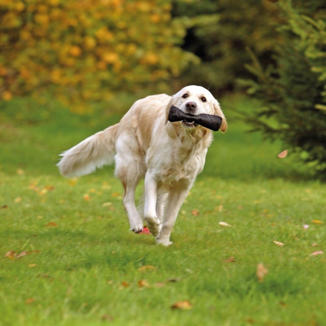 Karlie Apportier LUČKA ZA PRIGRIZKE - 22 cm